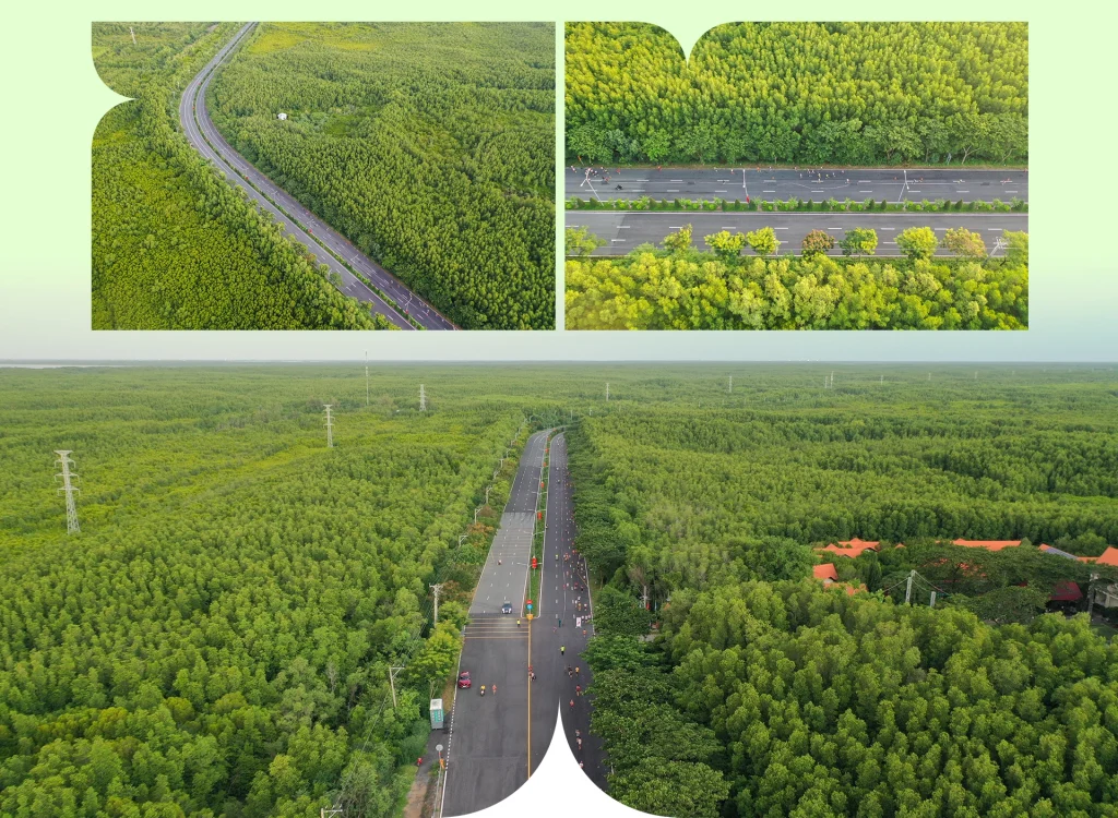 dự án Vinhomes Green Paradise