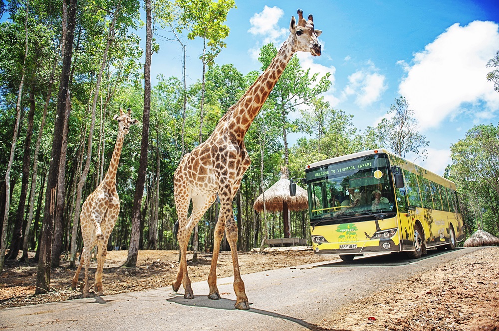 Sở thú Vinpearl Safari Vinhome